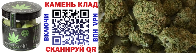 Canna-Cookies марихуана купить Шумиха