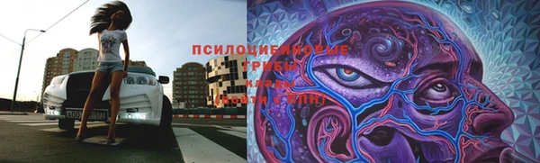 таблы Туринск