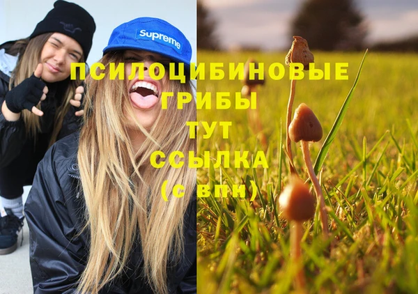 бошки Тутаев